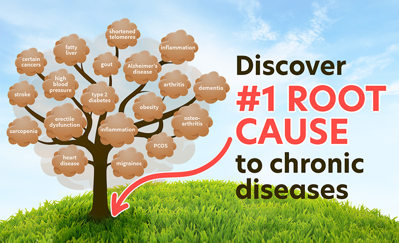 Discover the number 1 root cause to chronic diseases